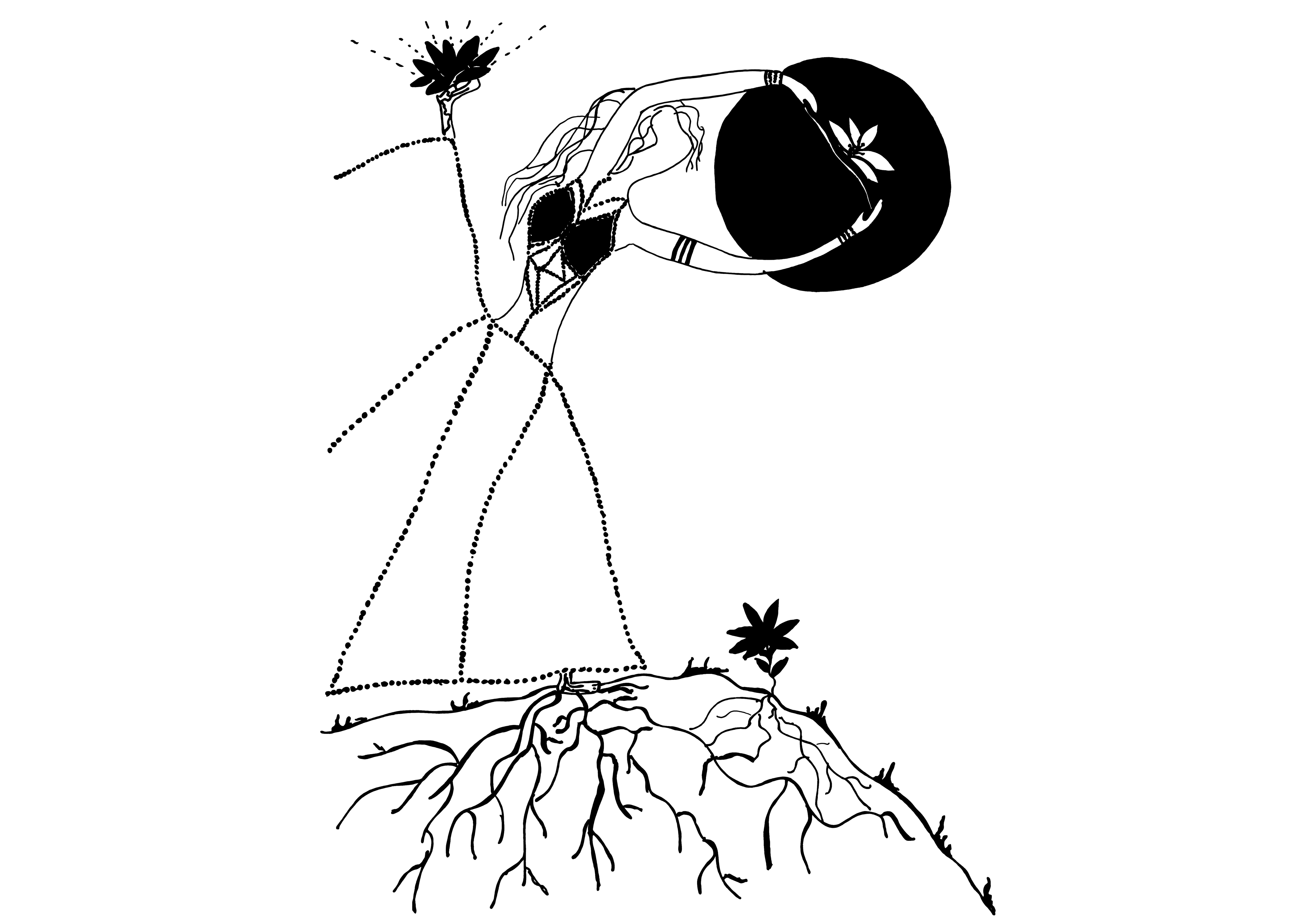 Desenho medicinal autoral de Cristina Carollo