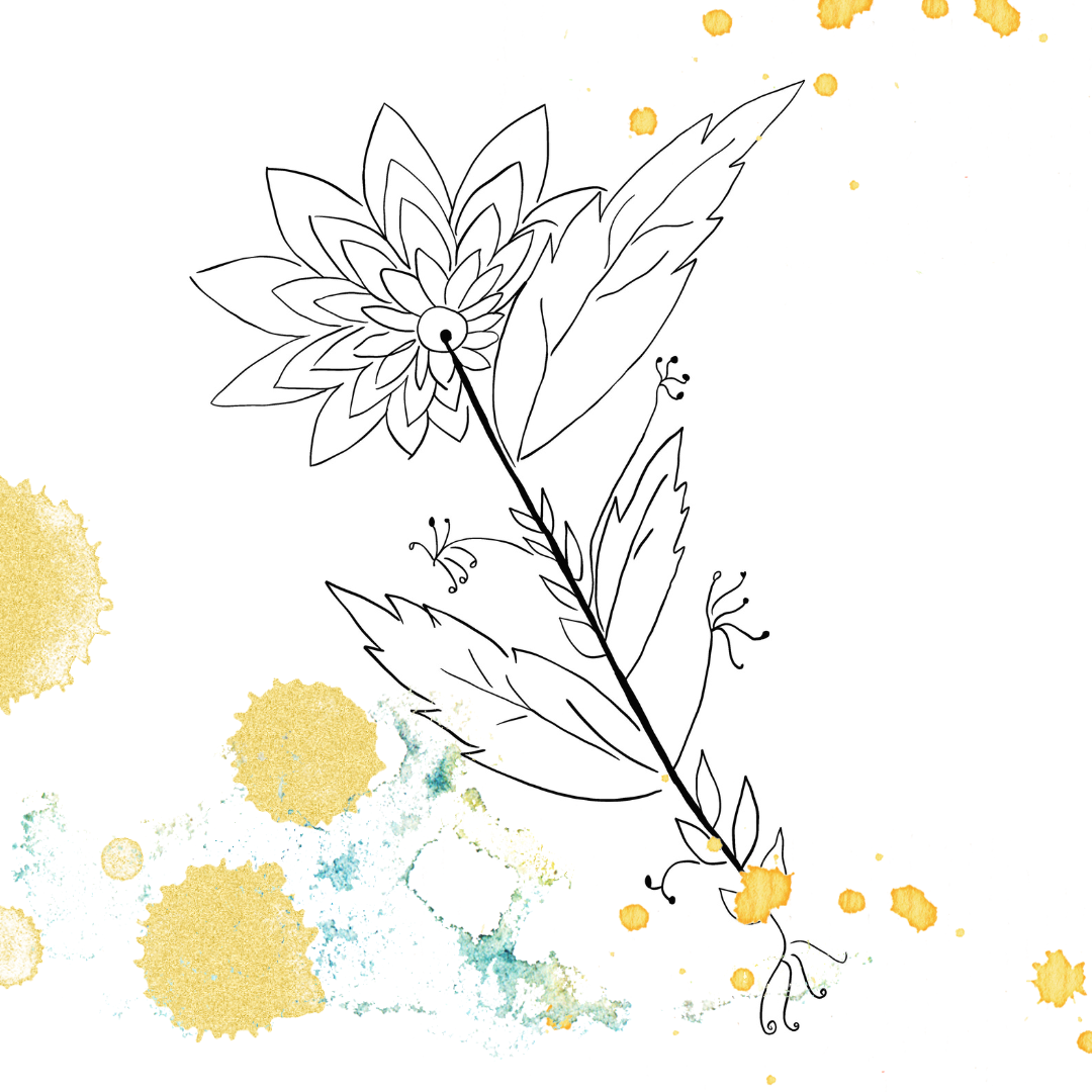 Composição autoral — desenho medicinal de Cristina Carollo